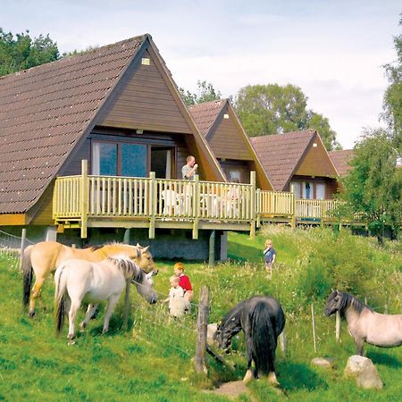 Delny Highland Lodges Invergordon Extérieur photo