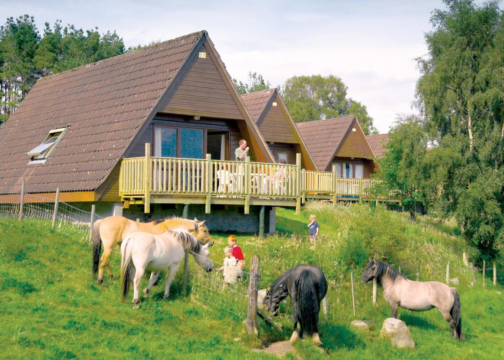 Delny Highland Lodges Invergordon Extérieur photo